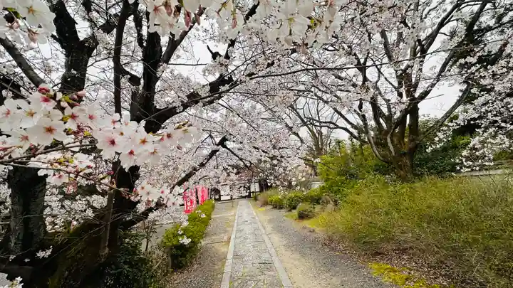本法寺(京都府)