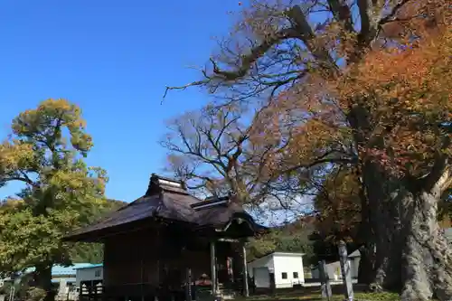 東光寺のその他建物