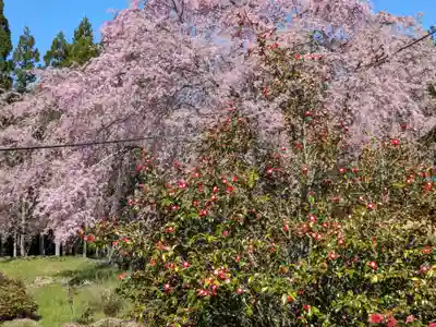 天喜寺(岐阜県)