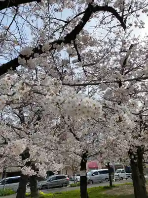神明神社の自然