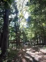 秩父神社(埼玉県)