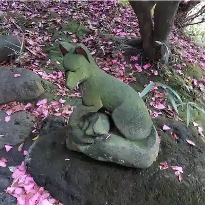 白金氷川神社の狛犬