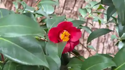 難波神社(大阪府)