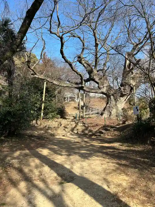 新田神社(群馬県)