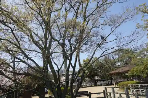 長岡天満宮のその他建物