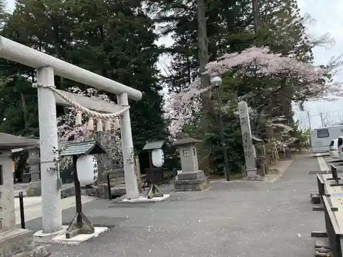 乃木神社の鳥居