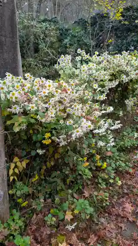 三千院門跡(京都府)