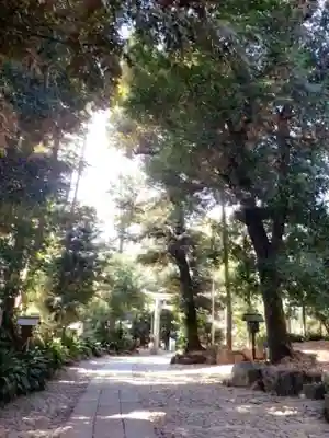 代々木八幡宮(東京都)