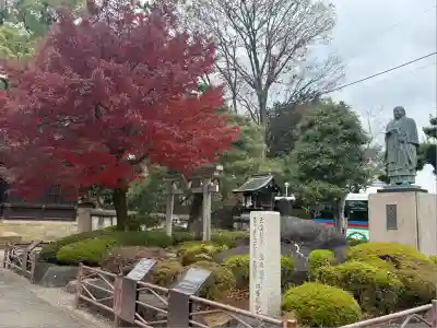 喜多院(埼玉県)