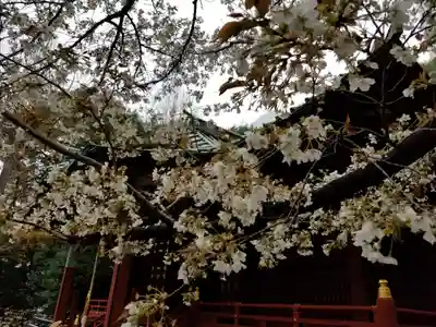 金王八幡宮のその他建物