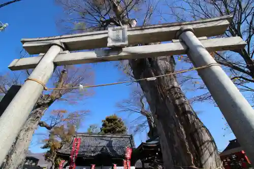 科野大宮社の鳥居