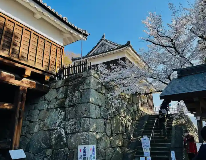 眞田神社のその他建物