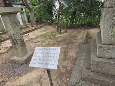 琴崎八幡宮(山口県)