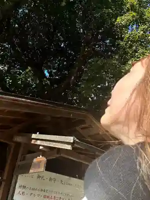 橿原神宮(奈良県)