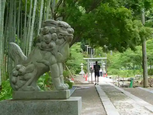 建長寺の狛犬