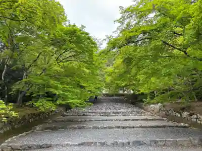 二尊院の{uncategorized: "未分類", other: "その他", undefined: "問題あり", building: "その他建物", grave: "お墓", sacred_gate: "鳥居", guardian: "狛犬", statue: "像", buddha: "仏像", history: "歴史", nature: "自然", garden: "庭園", animal: "動物", pagoda: "塔", temizu: "手水舎", mountain_gate: "山門・神門", sanctuary: "本殿・本堂", subordinate: "末社・摂社", art: "芸術", scenery: "景色", jizo: "地蔵", ema: "絵馬", goshuin: "御朱印", omikuji: "おみくじ", items: "授与品その他", amulet: "お守り", goshuincho: "御朱印帳", eats: "食事", festival: "お祭り", votive_dance: "神楽", shichigosan: "七五三参", wedding: "結婚式", experience: "体験その他", initially: "初詣", around: "周辺", anti_infection: "感染症対策"}