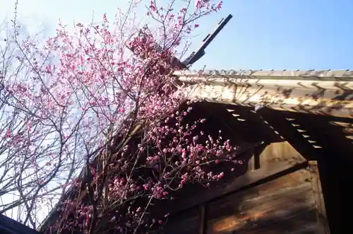 ときわ台天祖神社のその他建物