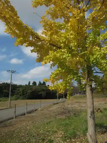 八幡神社(茨城県)