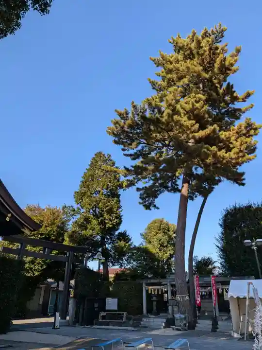 中野沼袋氷川神社(東京都)