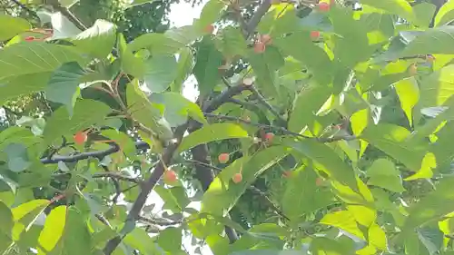 櫛田神社(福岡県)