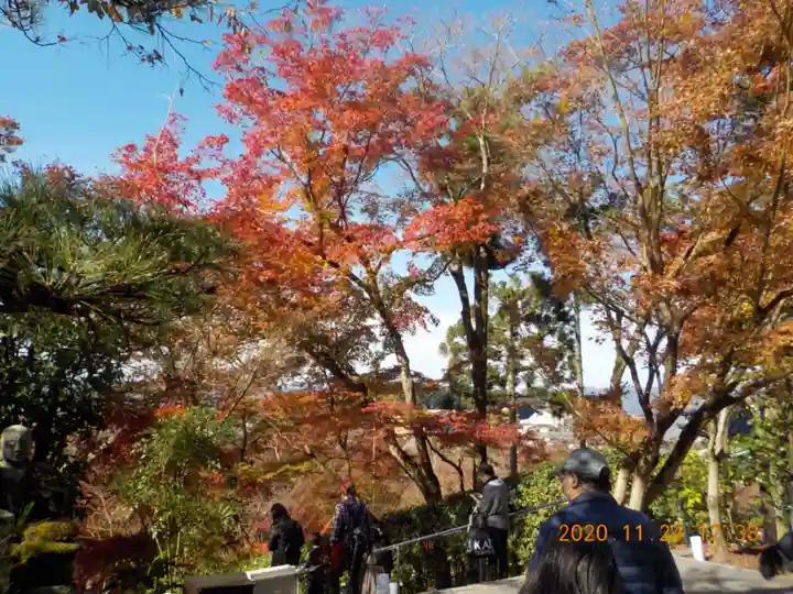 禅林寺(永観堂)の自然