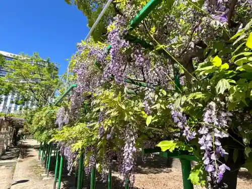天満宮中之社（廃神社・石碑あり）(大阪府)