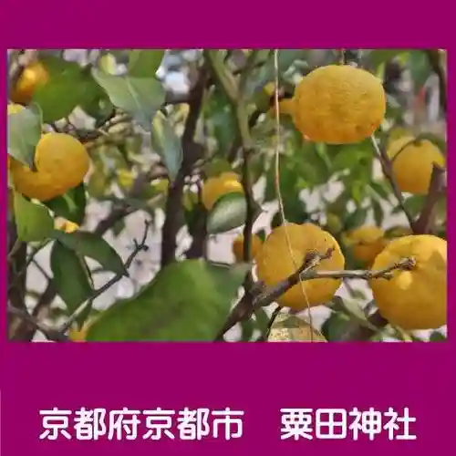 粟田神社の自然