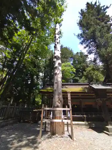 諏訪大社下社春宮(長野県)