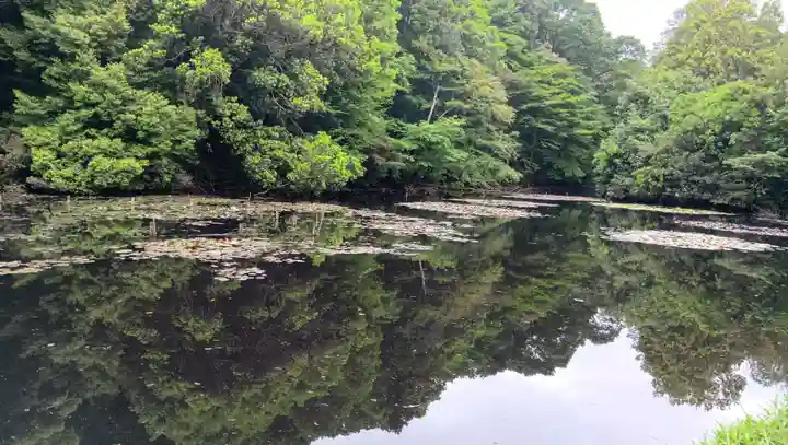 明治神宮(東京都)