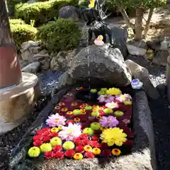 大鏑神社の手水