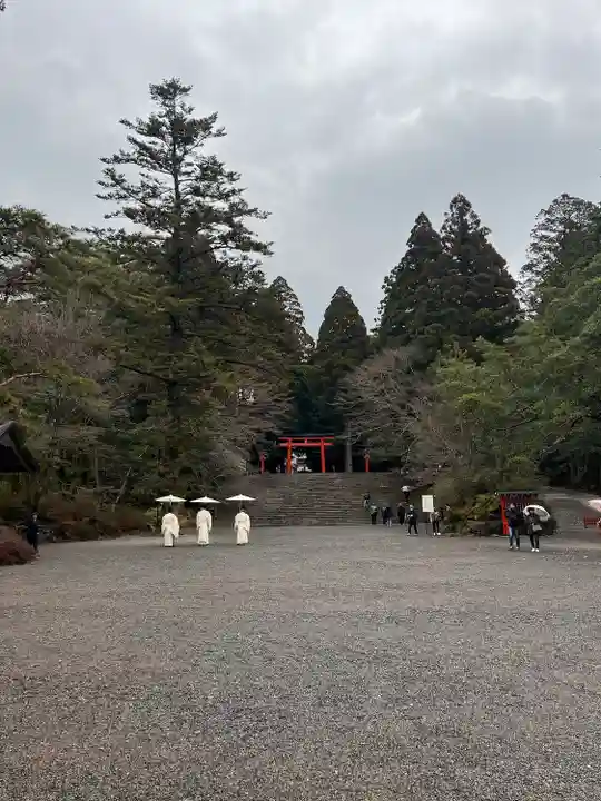 霧島神宮(鹿児島県)
