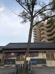 別小江神社の自然