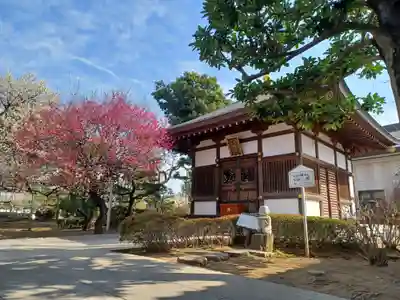 寳幢寺(埼玉県)
