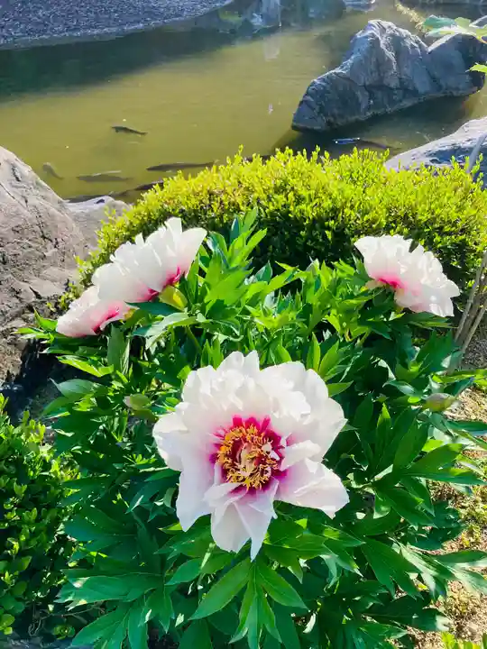 當麻寺 奥院の自然