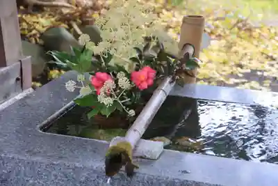 高司神社〜むすびの神の鎮まる社〜の手水舎