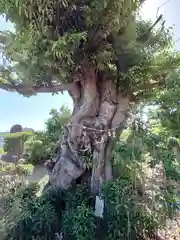 稲荷神社(埼玉県)