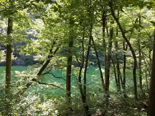 龍ヶ窪神社(新潟県)