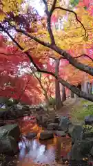 龍興山神社の自然