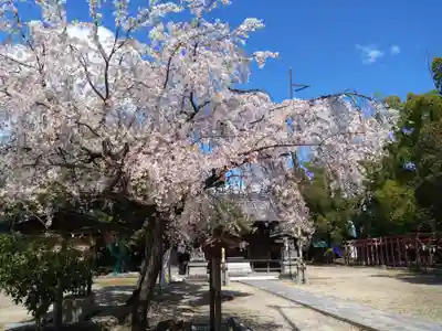 御鍬神社(愛知県)