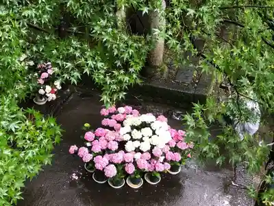 長谷寺(奈良県)