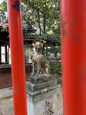 九所御霊天神社(兵庫県)