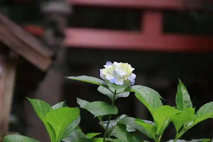 菅船神社の自然