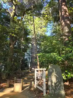 麻賀多神社(千葉県)