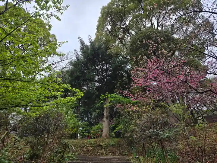 曽我浅間神社(静岡県)