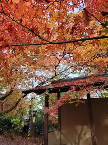 長岡天満宮(京都府)