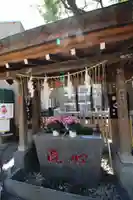 高円寺氷川神社の手水舎