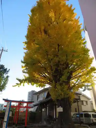 稼穡稲荷社のその他建物