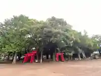 稲荷神社の鳥居