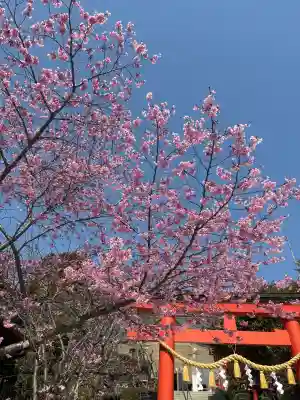 二川伏見稲荷の{uncategorized: "未分類", other: "その他", undefined: "問題あり", building: "その他建物", grave: "お墓", sacred_gate: "鳥居", guardian: "狛犬", statue: "像", buddha: "仏像", history: "歴史", nature: "自然", garden: "庭園", animal: "動物", pagoda: "塔", temizu: "手水舎", mountain_gate: "山門・神門", sanctuary: "本殿・本堂", subordinate: "末社・摂社", art: "芸術", scenery: "景色", jizo: "地蔵", ema: "絵馬", goshuin: "御朱印", omikuji: "おみくじ", items: "授与品その他", amulet: "お守り", goshuincho: "御朱印帳", eats: "食事", festival: "お祭り", votive_dance: "神楽", shichigosan: "七五三参", wedding: "結婚式", experience: "体験その他", initially: "初詣", around: "周辺", anti_infection: "感染症対策"}