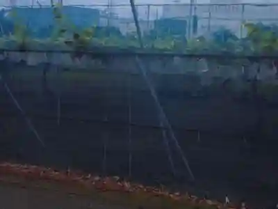 諏訪神社の周辺